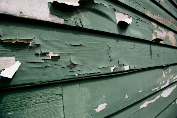 Best Residential Vinyl Siding Installation  in Elleale, ND