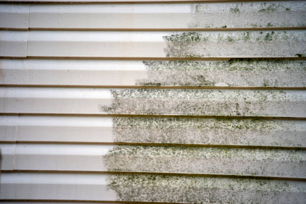 Siding Removal and Disposal in Ellendale, ND